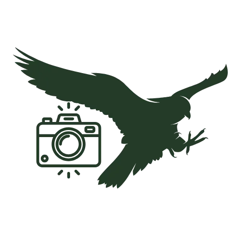 Get Pictures with Falcons