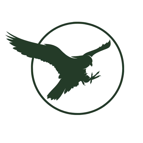 Training of Falcons