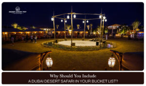Dubai desert safari | Desert safari in Dubai Blog Banner by Dubai Desert Safari Trip