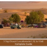 best desert places in UAE for safari experience