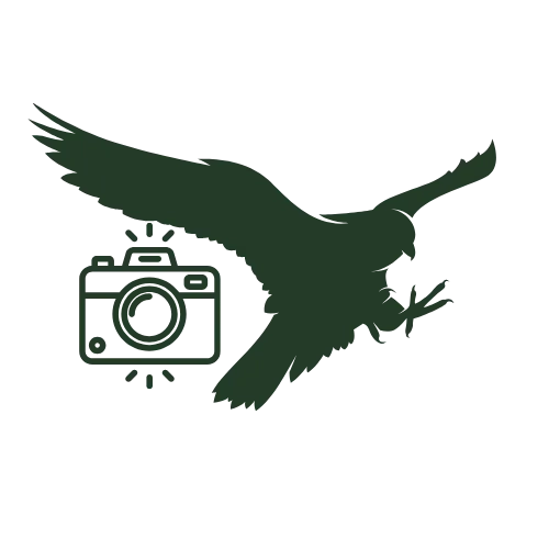 Get Pictures with Falcons