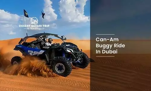 Can-Am Buggy Ride In Dubai