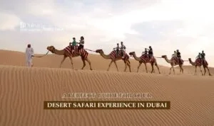 Desert Safari in Dubai | Desert safari Dubai Tours Blog Banner by Dubai Desert Safari Trip