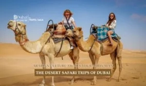 Desert Safari Dubai Tours | Desert Safari Package Blog Banner by Dubai Desert Safari Trip