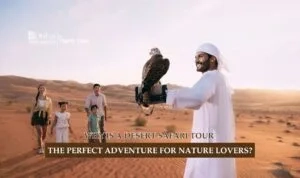 Desert Safari Adventures | Desert Safari Tours Dubai Blog Banner by Dubai Desert Safari Trip