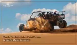 Desert Safari Dubai summer | Evening desert safari Dubai | Blog Banner by Dubai Desert Safari Trip