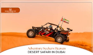 Desert safari Dubai | Dubai adventure activities Blog Banner by Dubai Desert Safari Trip