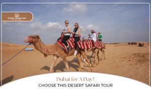Desert Safari Tour Blog Banner by Dubai Desert Safari Trip
