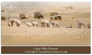 UAE glamping sites | glamping in UAE Blog Banner by Dubai Desert Safari Trip