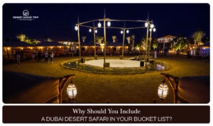Dubai desert safari | Desert safari in Dubai Blog Banner by Dubai Desert Safari Trip