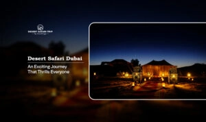 desert safari Dubai | Dubai desert safari Blog Dubai Deset Safari Trip