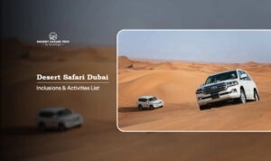 Desert Safari Dubai inclusions | Dubai Desert Safari activities list Blog Banner by Dubai Desert Safari Dubai