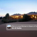 luxury desert retreat Dubai at Al Maha Blog Banner by dubaidesertsafaritrip.com