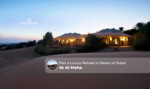luxury desert retreat Dubai at Al Maha Blog Banner by dubaidesertsafaritrip.com