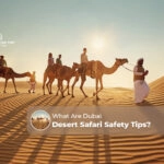 Dubai desert safari safety Blog Banner by dubaidesertsafaritrip.com