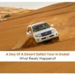 Desert Safari Tour in Dubai Blog Banner by dubaidesertsafaritrip.com