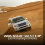 Dubai Desert Safari Trip blog banner by dubaidesertsafaritrip.com