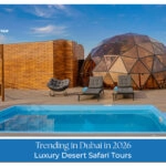 Luxury Desert Safari Tours Blog Banner by dubaidesertsafaritrip.com