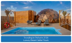 Luxury Desert Safari Tours Blog Banner by dubaidesertsafaritrip.com