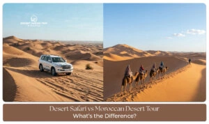 Comparing desert safari and Moroccan desert experiences