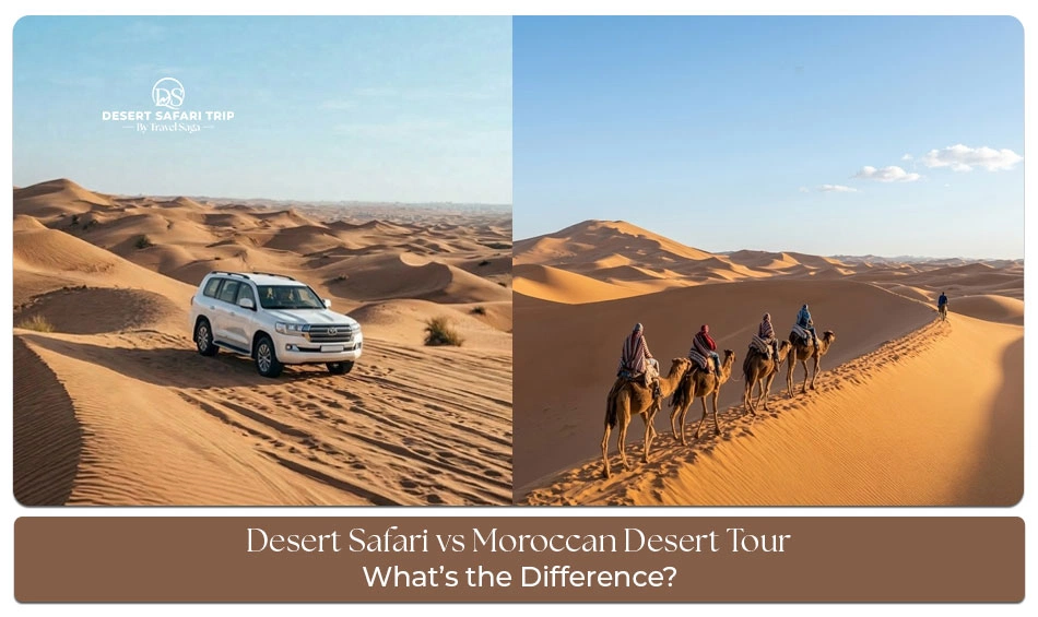 Comparing desert safari and Moroccan desert experiences