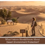 Visitors learning about desert environment protection