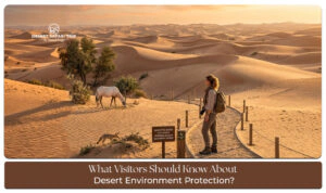 Visitors learning about desert environment protection