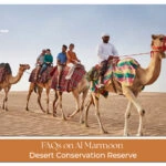 FAQs on Al Marmoom Desert Conservation Reserve desert view