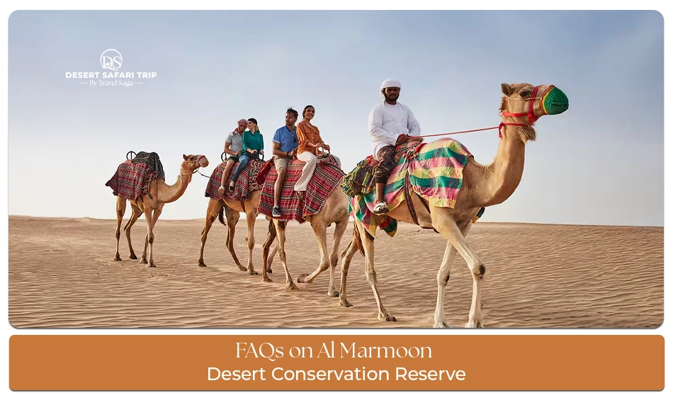 FAQs on Al Marmoom Desert Conservation Reserve desert view