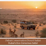 Guided conservation safari Dubai experience