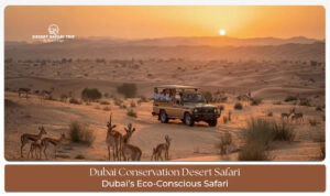 Guided conservation safari Dubai experience