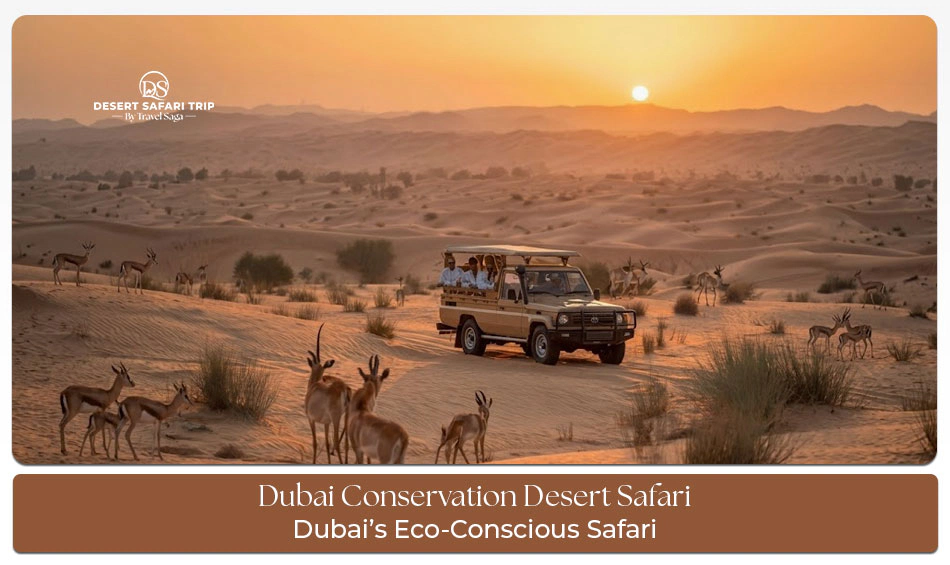 Guided conservation safari Dubai experience